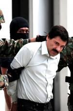 Watch The Rise and Fall of El Chapo Myflixer