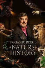 Watch Fantastic Beasts: A Natural History Myflixer