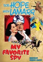 Watch My Favorite Spy Myflixer
