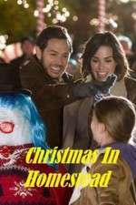 Watch Christmas in Homestead Myflixer