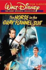 Watch The Horse in the Gray Flannel Suit Myflixer