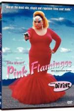 Watch Pink Flamingos Myflixer