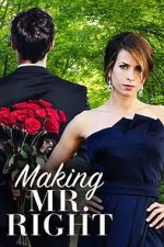 Watch Making Mr. Right Myflixer
