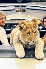 Watch The Lion Cub from Harrods Myflixer