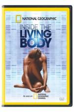 Watch National Geographic The Incredible Human Body Myflixer