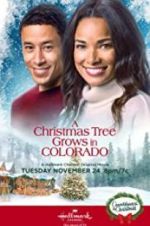 Watch A Christmas Tree Grows in Colorado Myflixer