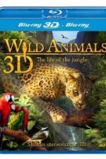 Watch Wild Animals - The Life of the Jungle 3D Myflixer