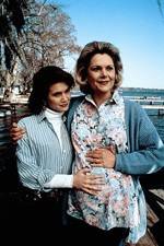 Watch Labor of Love The Arlette Schweitzer Story Myflixer