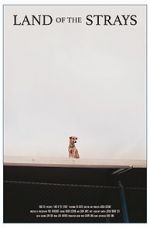 Watch Land of the Strays (Short 2018) Myflixer