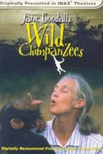 Watch Jane Goodall's Wild Chimpanzees Myflixer