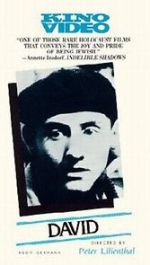 Watch David Myflixer