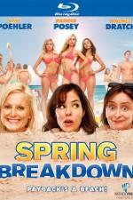 Watch Spring Breakdown Myflixer