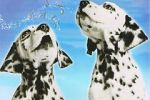 Watch 101 Dalmatians Sing Along Myflixer