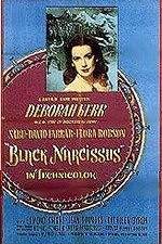 Watch Black Narcissus Myflixer