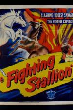 Watch The Fighting Stallion Myflixer