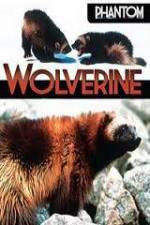 Watch National Geographic  Phantom Wolverine Myflixer