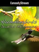 Watch Hummingbirds Jewelled Messengers Myflixer