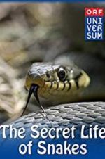 Watch The Secret Life of Snakes Myflixer