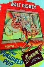 Watch The Purloined Pup Myflixer