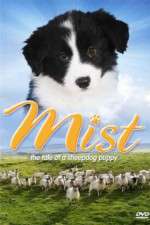Watch Mist: The Tale of a Sheepdog Puppy Myflixer