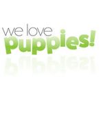 Watch We Love Puppies Myflixer