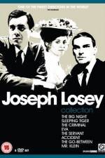 Watch The Big Night Myflixer