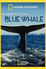 Watch National Geographic Kingdom of Blue Whale Myflixer
