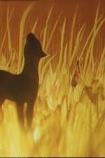 Watch The Cat Who Walked by Herself Myflixer