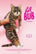 Watch Lil Bub & Friendz Myflixer