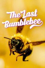 Watch The Last Bumblebee Myflixer