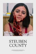 Watch Steuben County Myflixer