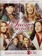 Watch Snow Wonder Myflixer