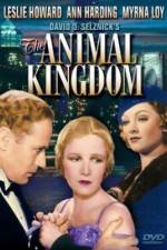Watch The Animal Kingdom Myflixer