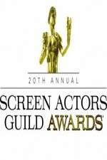 Watch The 20th Annual Screen Actors Guild Awards Myflixer