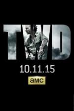 Watch The Walking Dead Myflixer