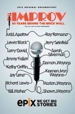 Watch The Improv: 50 Years Behind the Brick Wall (TV Special 2013) Myflixer