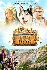 Watch Timber the Treasure Dog Myflixer