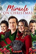 Watch Miracle on Christmas Myflixer