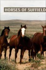 Watch Horses of Suffield Myflixer