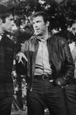 Watch The Devil's 8 Myflixer