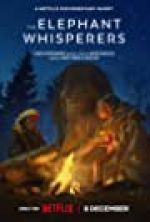 Watch The Elephant Whisperers Myflixer