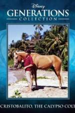 Watch Cristobalito the Calypso Colt Myflixer