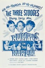 Watch Rumpus in the Harem Myflixer