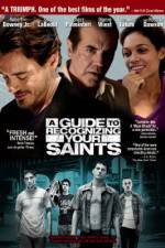 Watch A Guide to Recognizing Your Saints Myflixer
