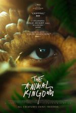 Watch The Animal Kingdom Myflixer