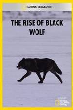 Watch The Rise of Black Wolf Myflixer