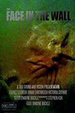Watch The Face in the Wall Myflixer