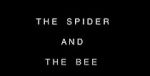 Watch The Spider and the Bee Myflixer