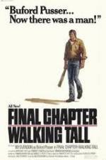 Watch Final Chapter Walking Tall Myflixer