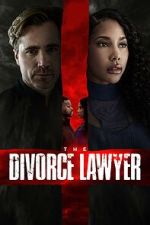 Watch The Divorce Lawyer Myflixer